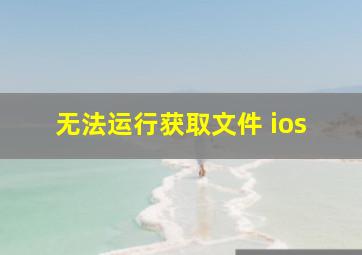 无法运行获取文件 ios